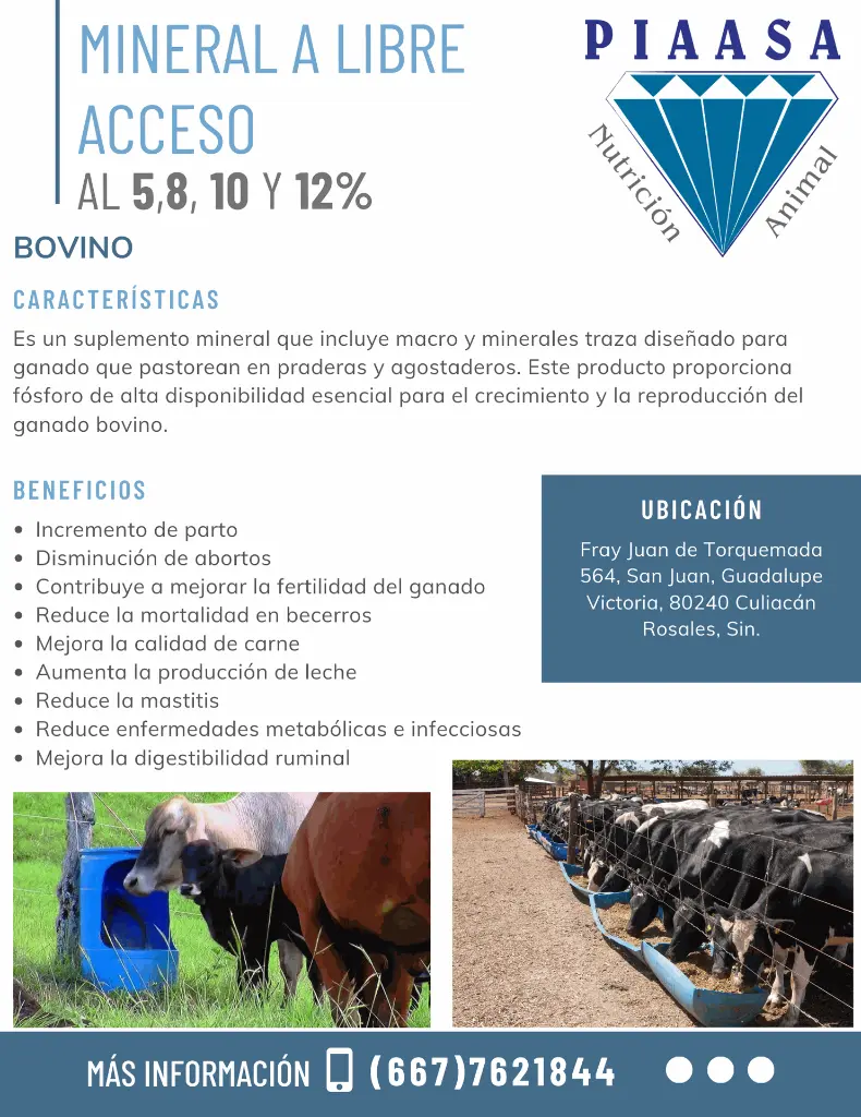 Libre Acceso Ficha Técnica.webp