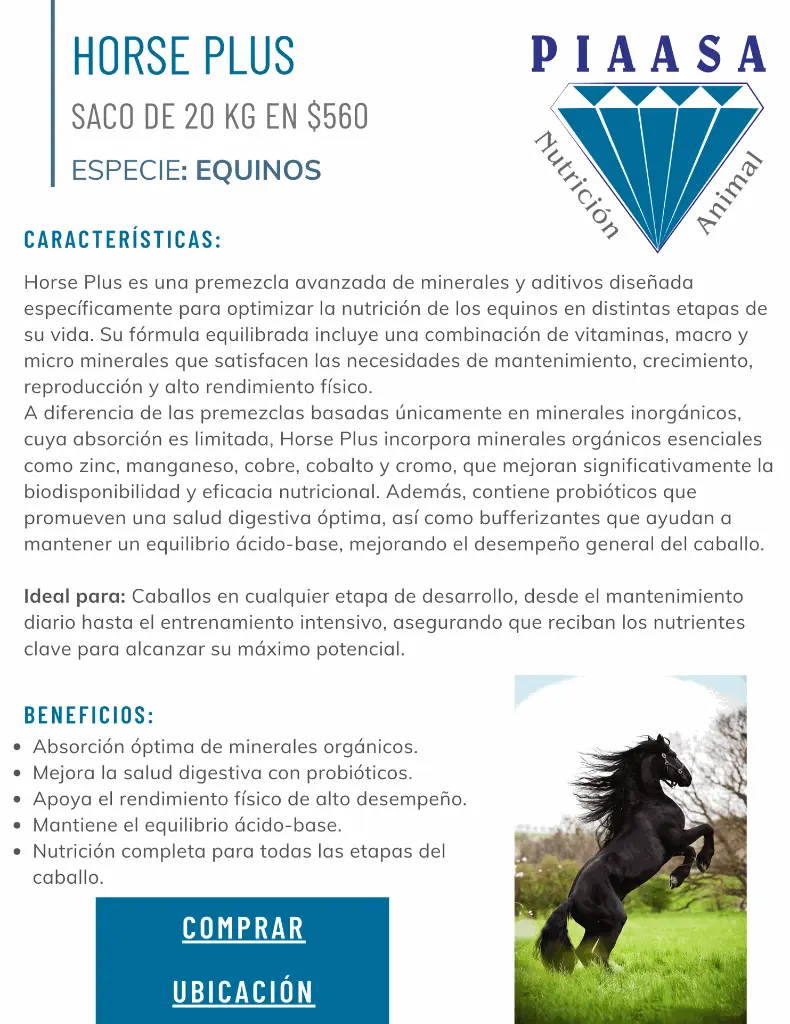 Horse Plus PIAASA.webp