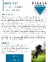 Horse Plus PIAASA.webp